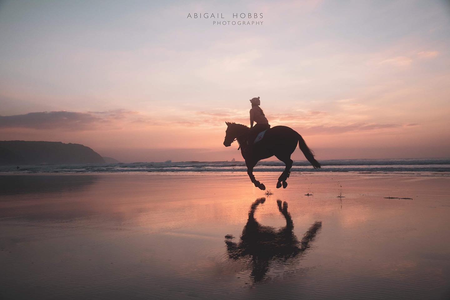 Horse on outlet beach